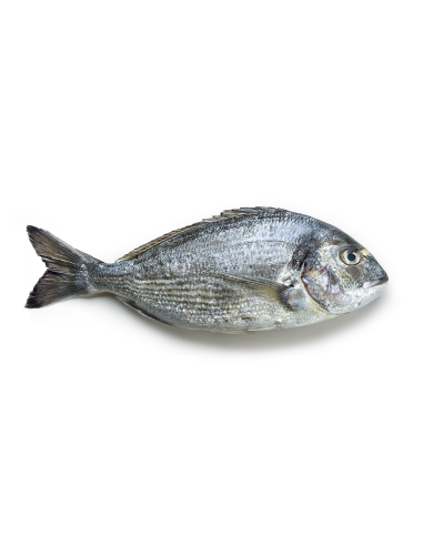 Pescado